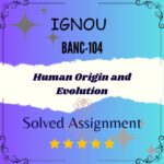 BANC 104 Solved Assignment - Human Origin and Evolution