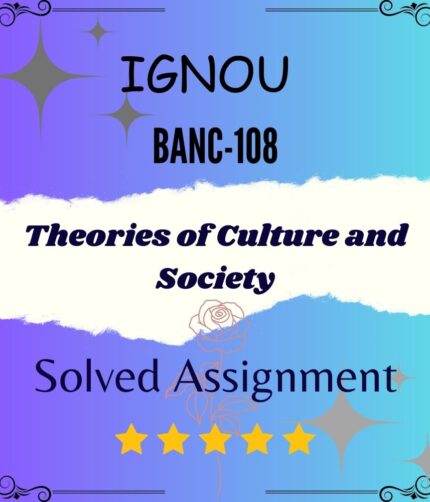 BANC 108 Solved Assignment - Theories of Culture and Society