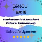 BANC 133 Solved Assignment - Fundamentals of Social and Cultural Anthropology