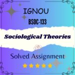 BSOC 133 Solved Assignment - Sociological Theories