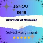 BRL 101 Solved Assignment - Overview of Retailing