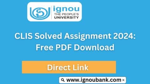 CLIS Solved Assignment 2024: Free PDF Download
