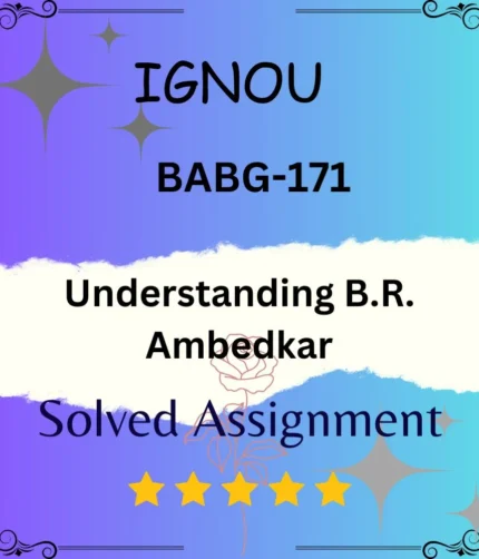 BABG 171 Solved Assignment - Understanding B.R. Ambedkar