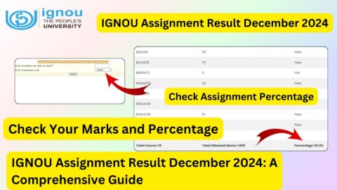 IGNOU Assignment Result December 2024: A Comprehensive Guide