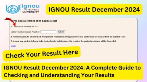 IGNOU Result December 2024: A Complete Guide to Checking and Understanding Your Results