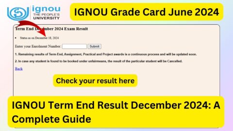 IGNOU Term End Result December 2024: A Complete Guide