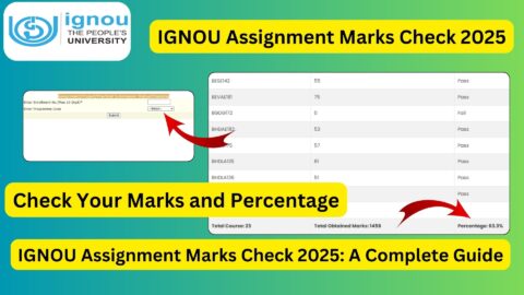 IGNOU Assignment Marks Check 2025: A Complete Guide