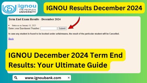IGNOU December 2024 Term End Results: Your Ultimate Guide