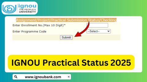 IGNOU Practical Status 2025: Check Status Online!