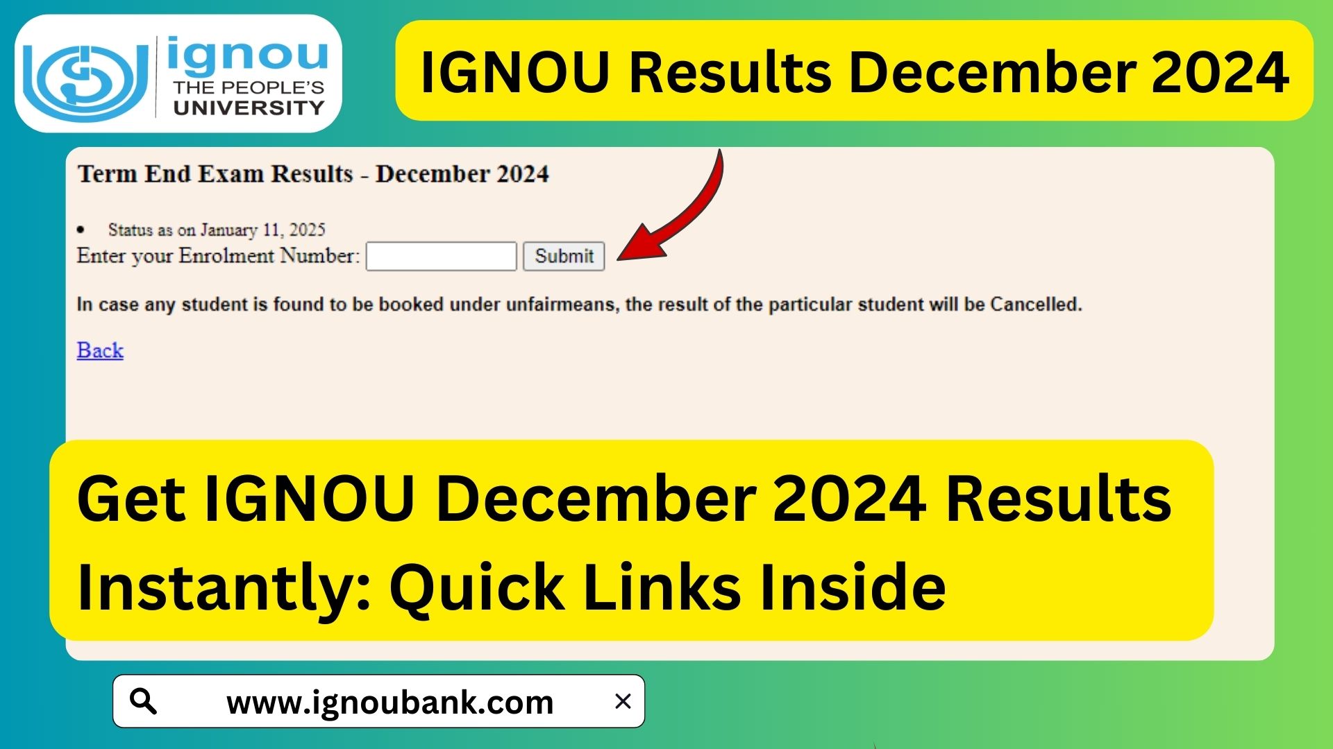 Ignou results december 2024 check your term end exam scores now
