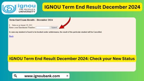 IGNOU Term End Result December 2024: Check Your TEE December Score Online