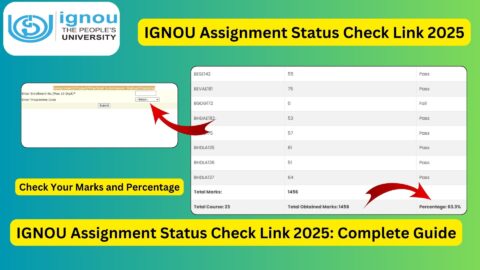 IGNOU Assignment Status Check 2025: Complete Guide