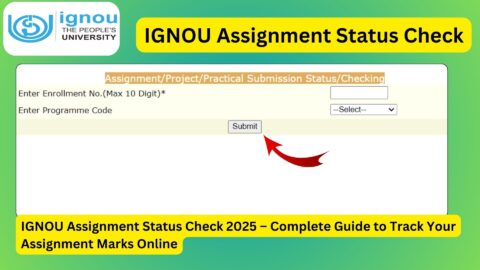 IGNOU Assignment Status Check 2025 – Complete Guide to Track Your Assignment Marks Online