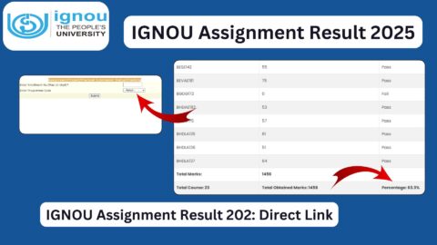 IGNOU Assignment Result 2025: Complete Guide to Check Marks, Status, Percentage, and Updates