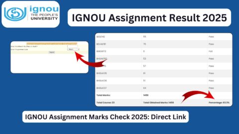 IGNOU Assignment Result: Complete Guide to Check Status, Marks, Updates, and Common Issues